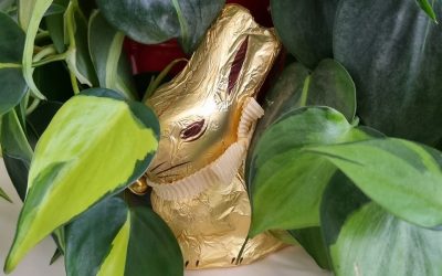 Chasse aux oeufs, 3, 2, 1…