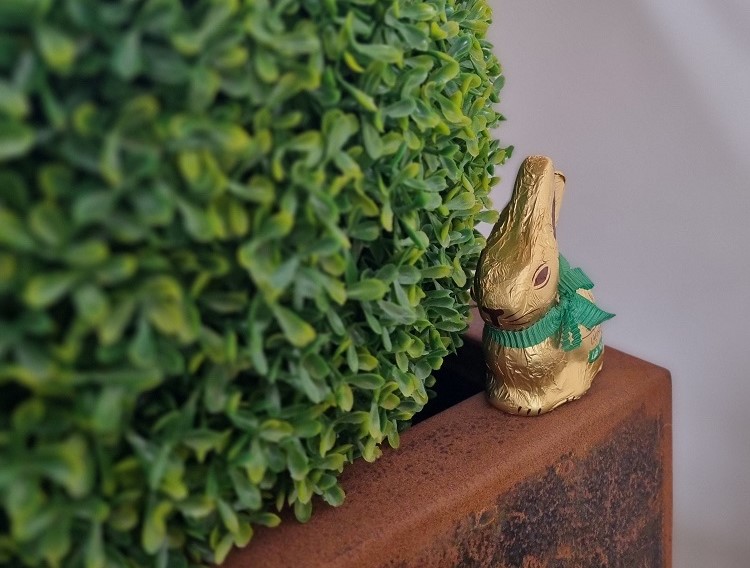 Des chocolats, des sourires… et un petit retour en enfance à Alizés