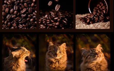 Nos clients au cœur du choix de leur cadre de vie